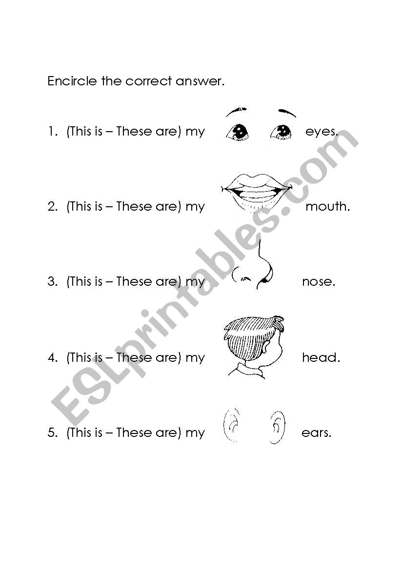 This is / These are worksheet