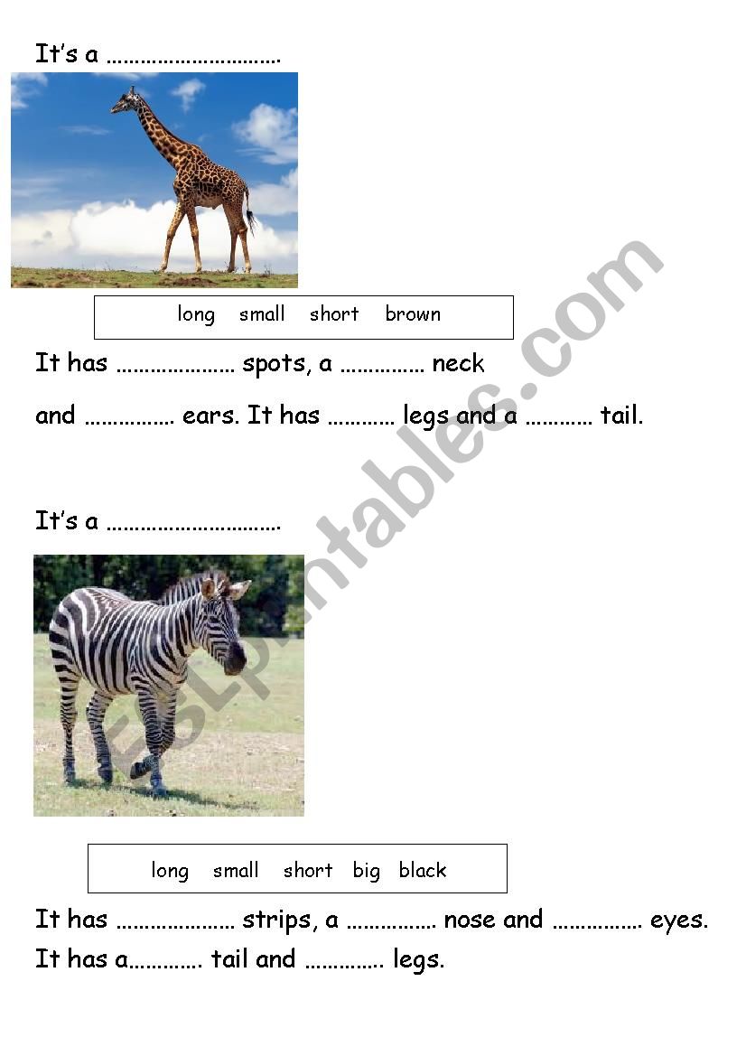 describing animals - ESL worksheet by Natulya1