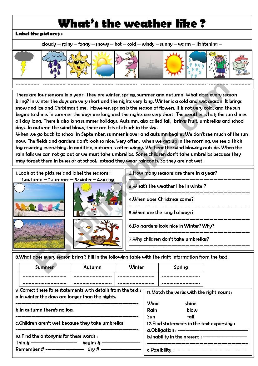 what-s-the-weather-like-esl-worksheet-by-sarrah-mohammed