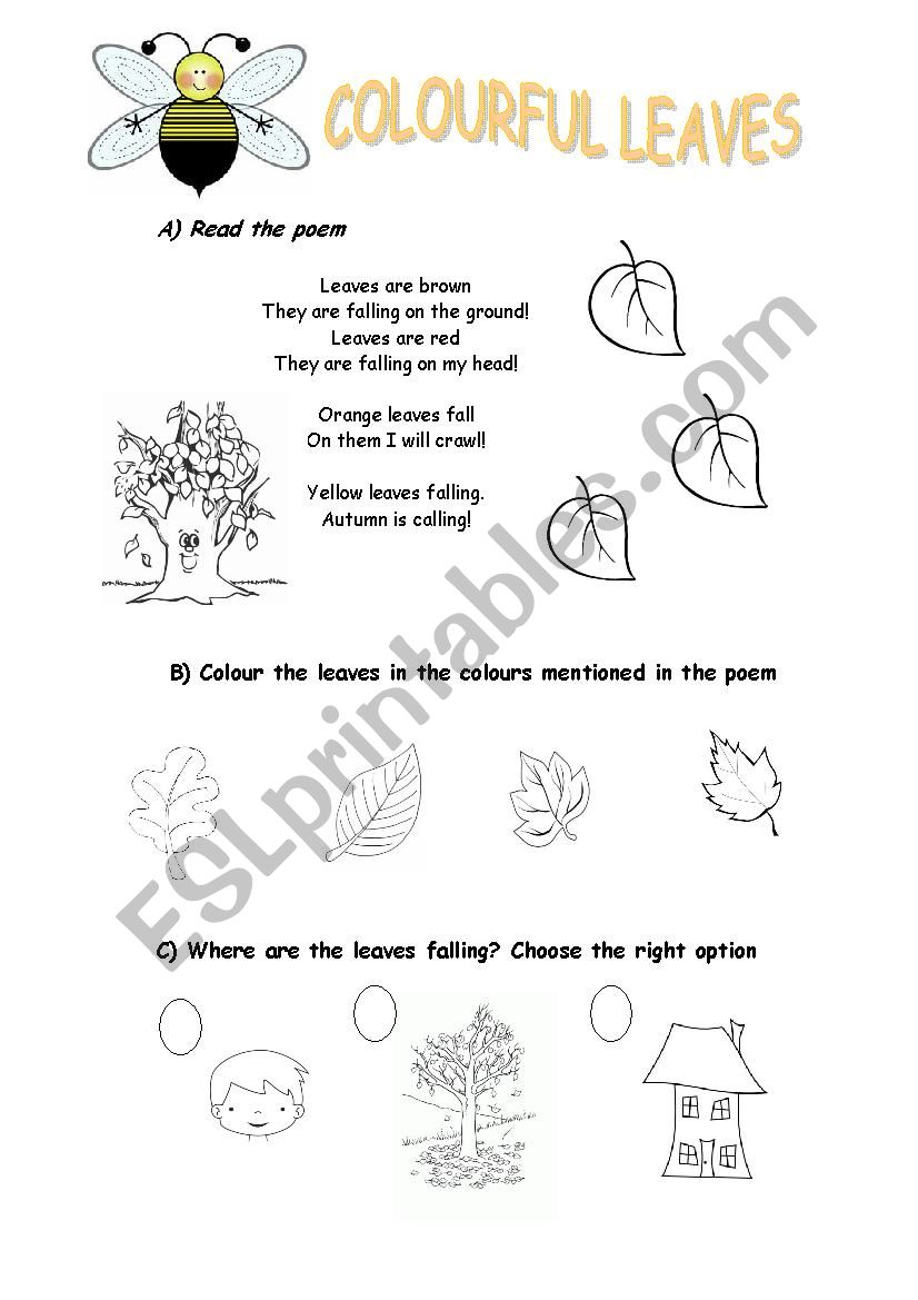 autumn worksheet