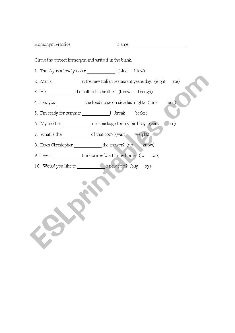 Homonym Practice worksheet