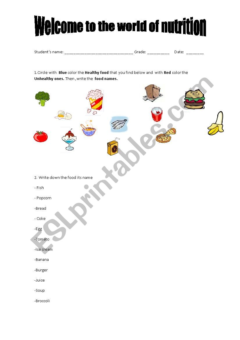 food pyramide worksheet