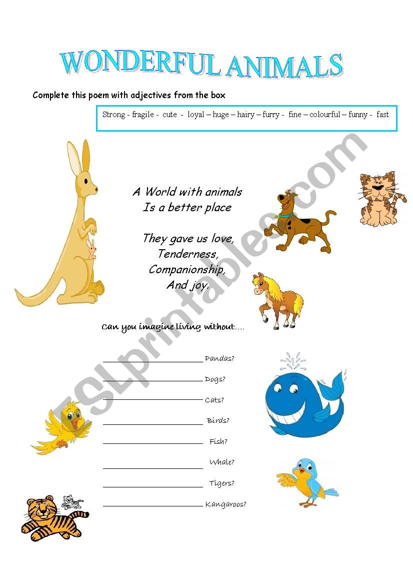 animals worksheet