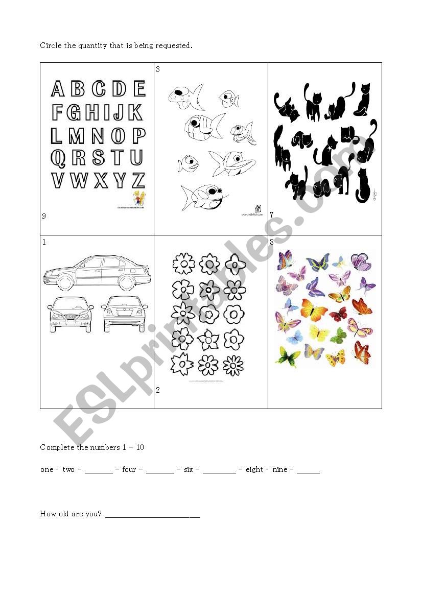 Refreshing the Numbers worksheet