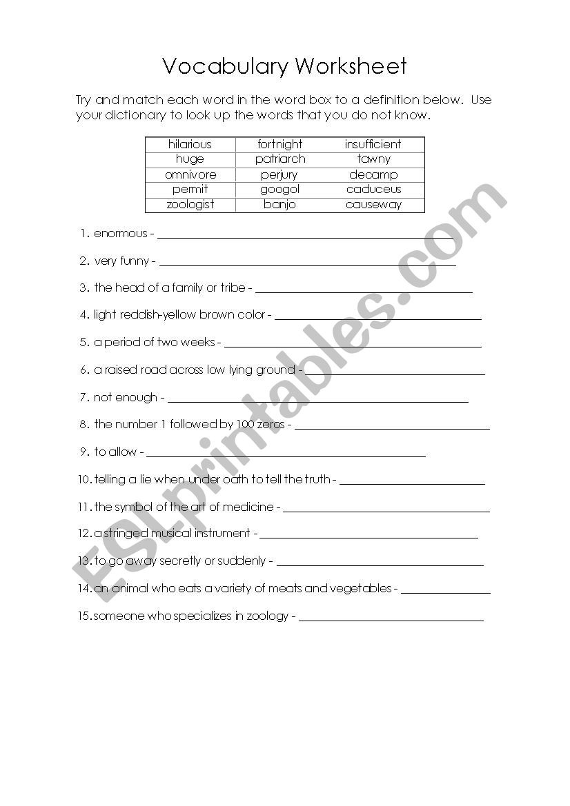 Vocabulary Worksheet worksheet