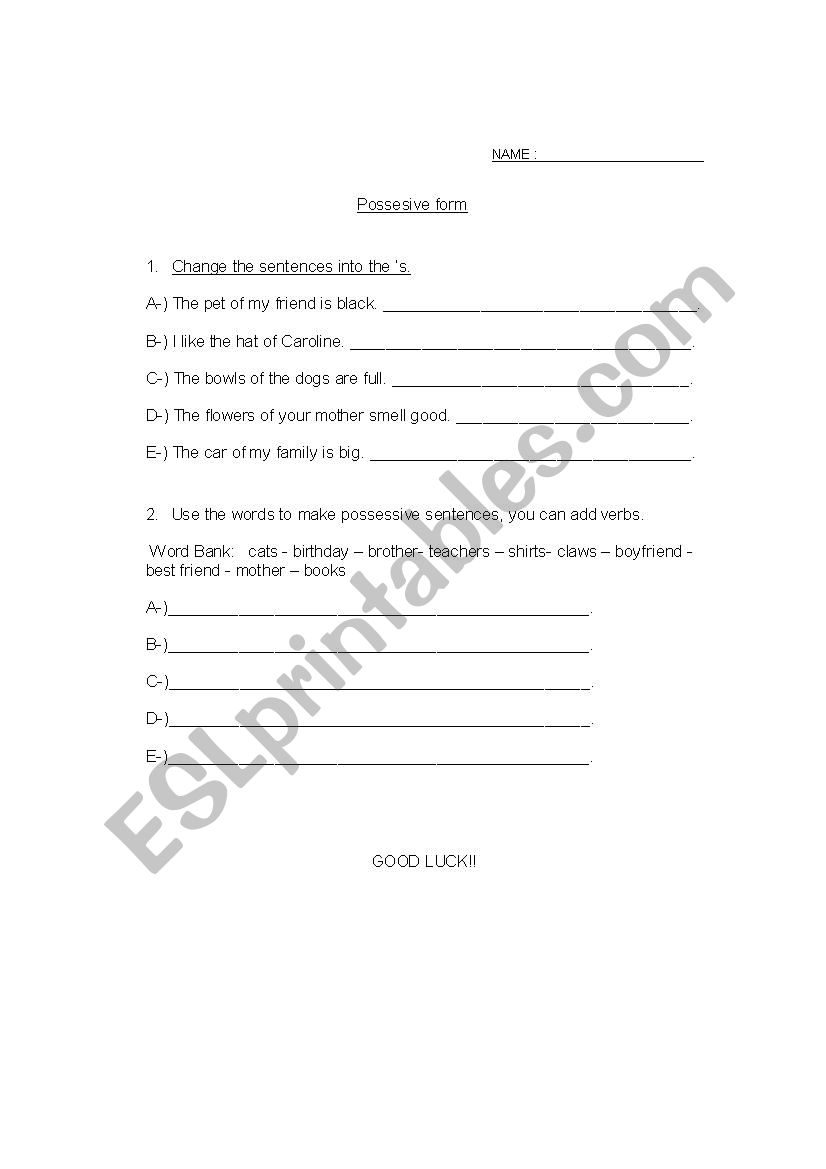 Possessive worksheet