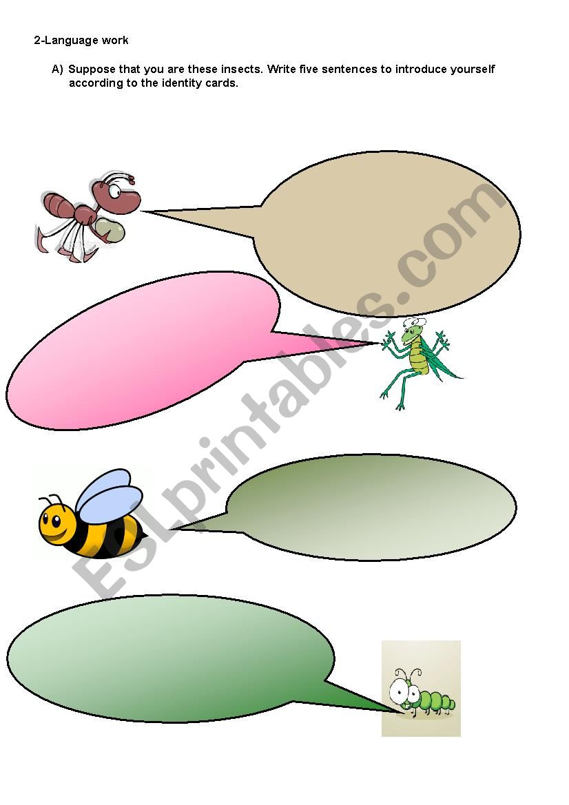insects 4 worksheet