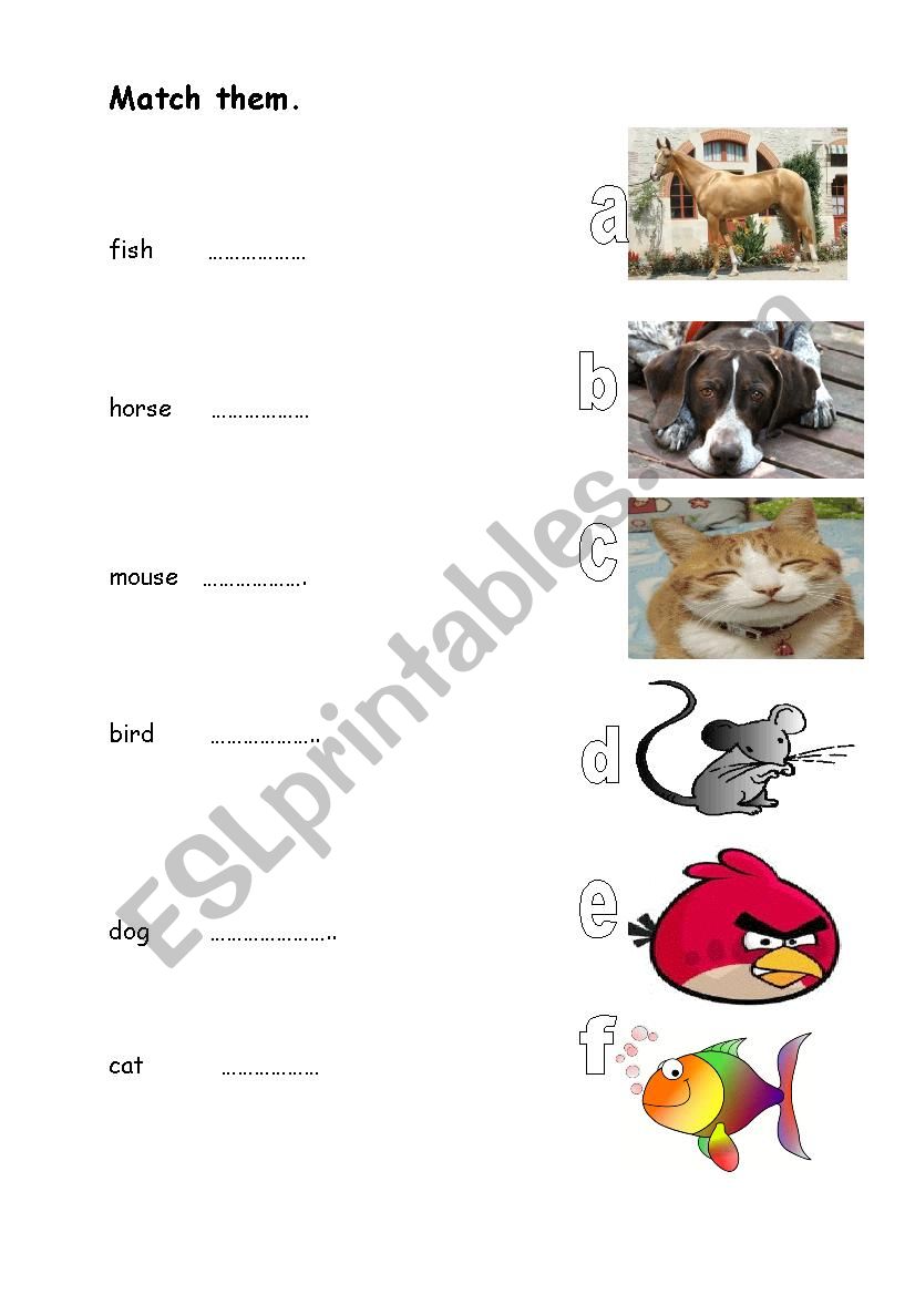 pets worksheet