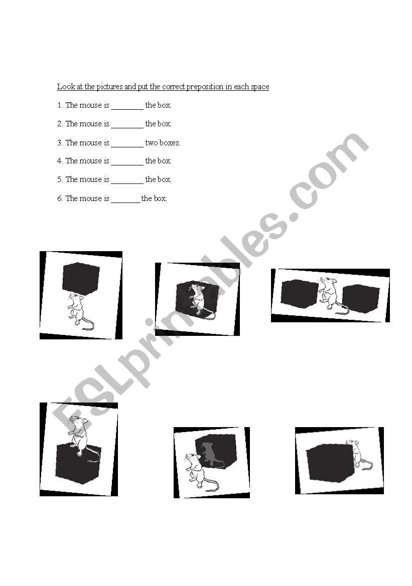 prepositions worksheet