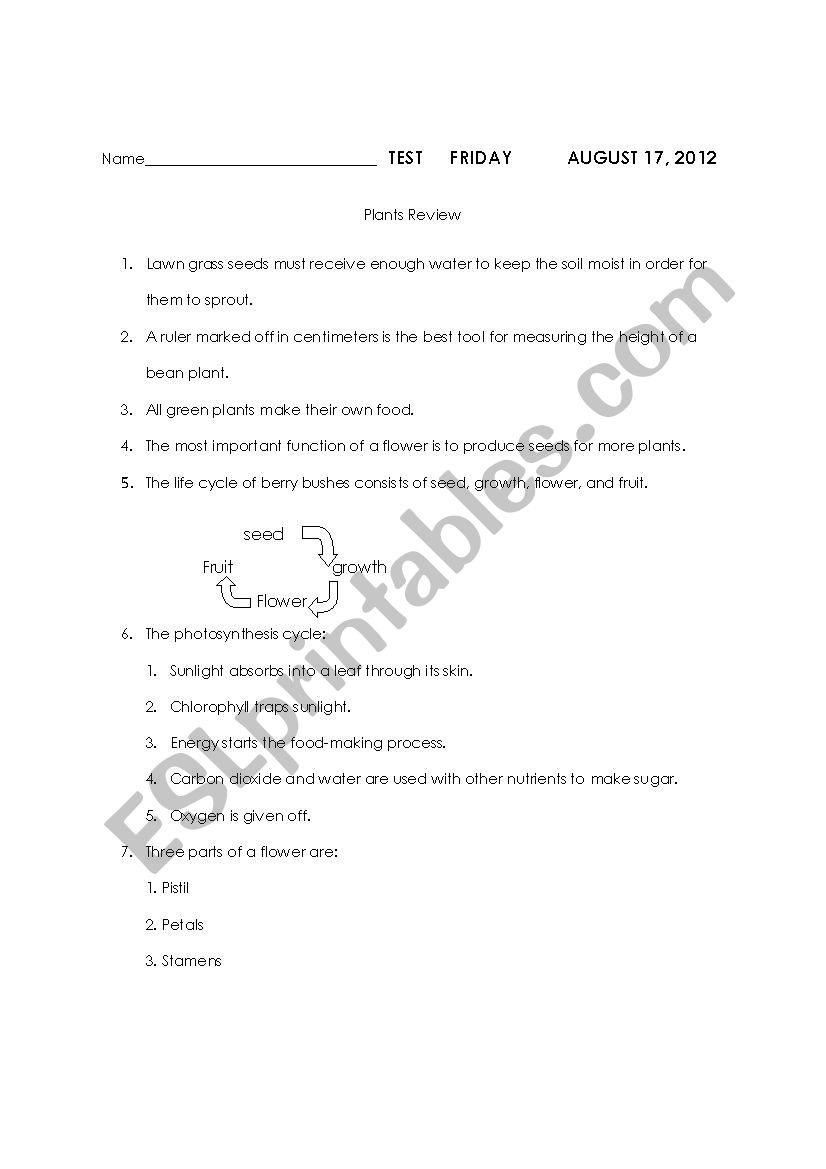 Grade 4 Plants Review worksheet