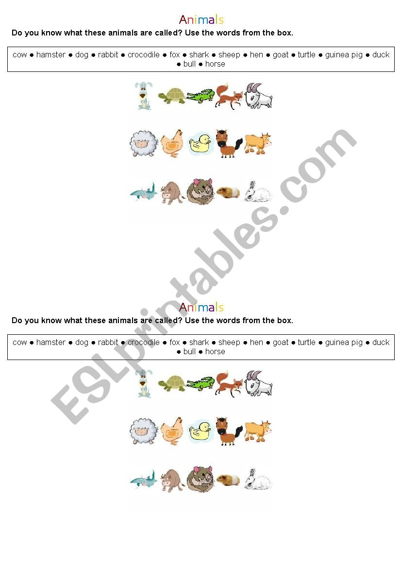 Animals worksheet