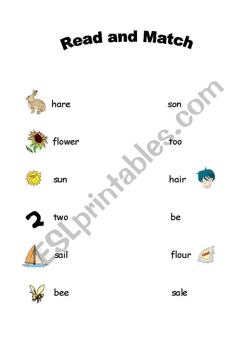 Homophones  worksheet