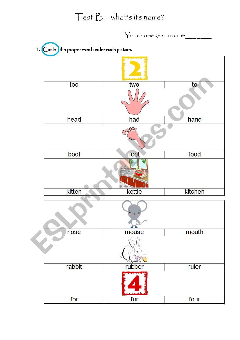 Test  - B - whats its name? worksheet