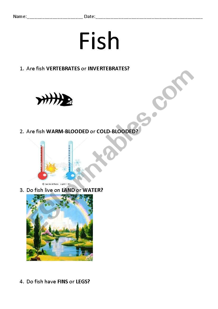Fish worksheet worksheet
