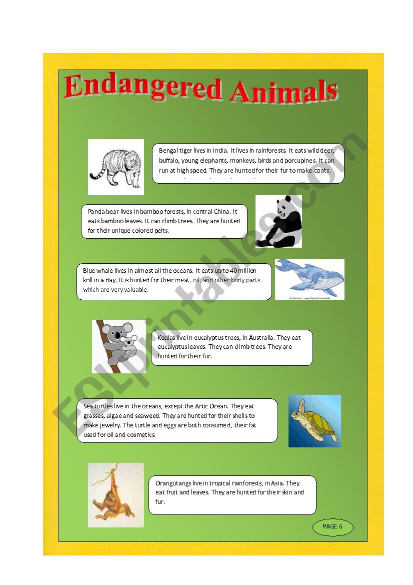 endangered animals esl worksheet by roxanne87