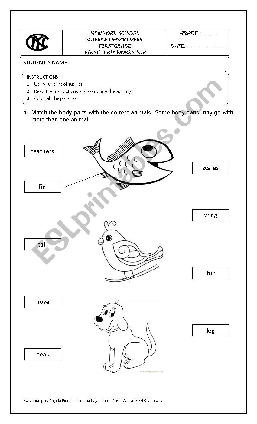 Animals characteristics worksheet