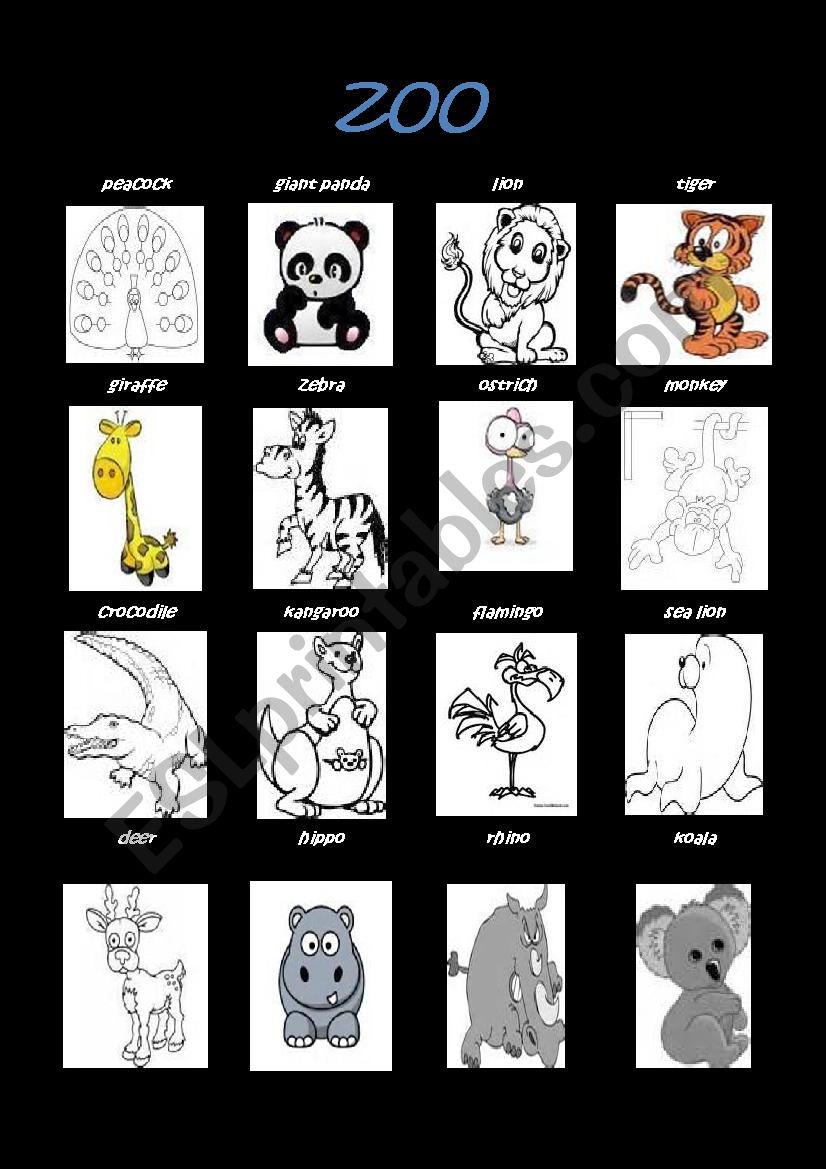 Animal worksheet