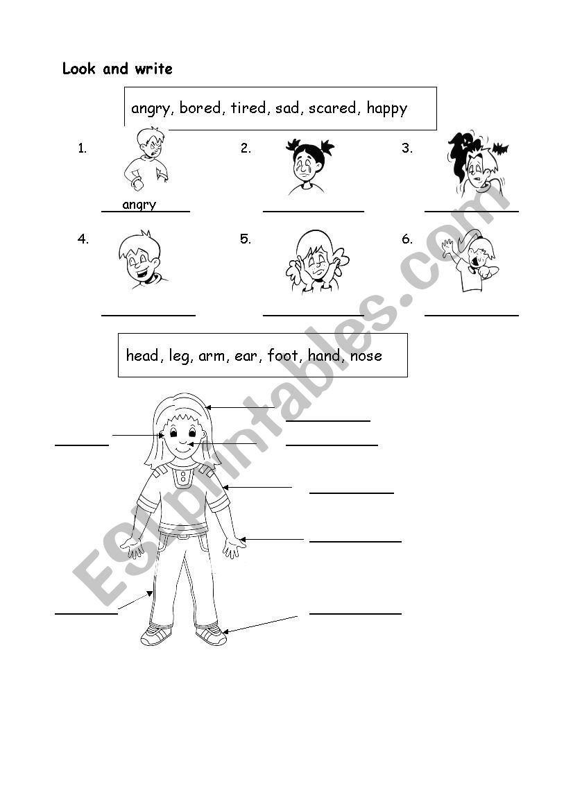 Look and write worksheet