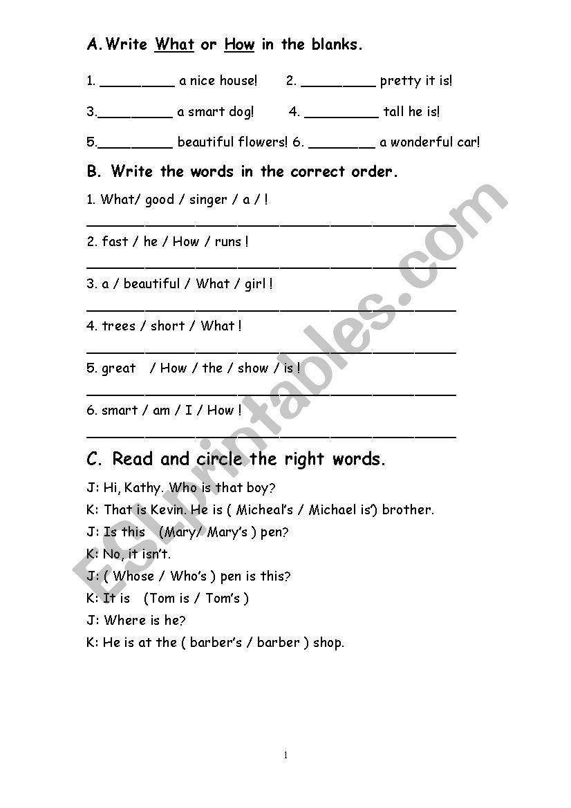 How and What worksheet