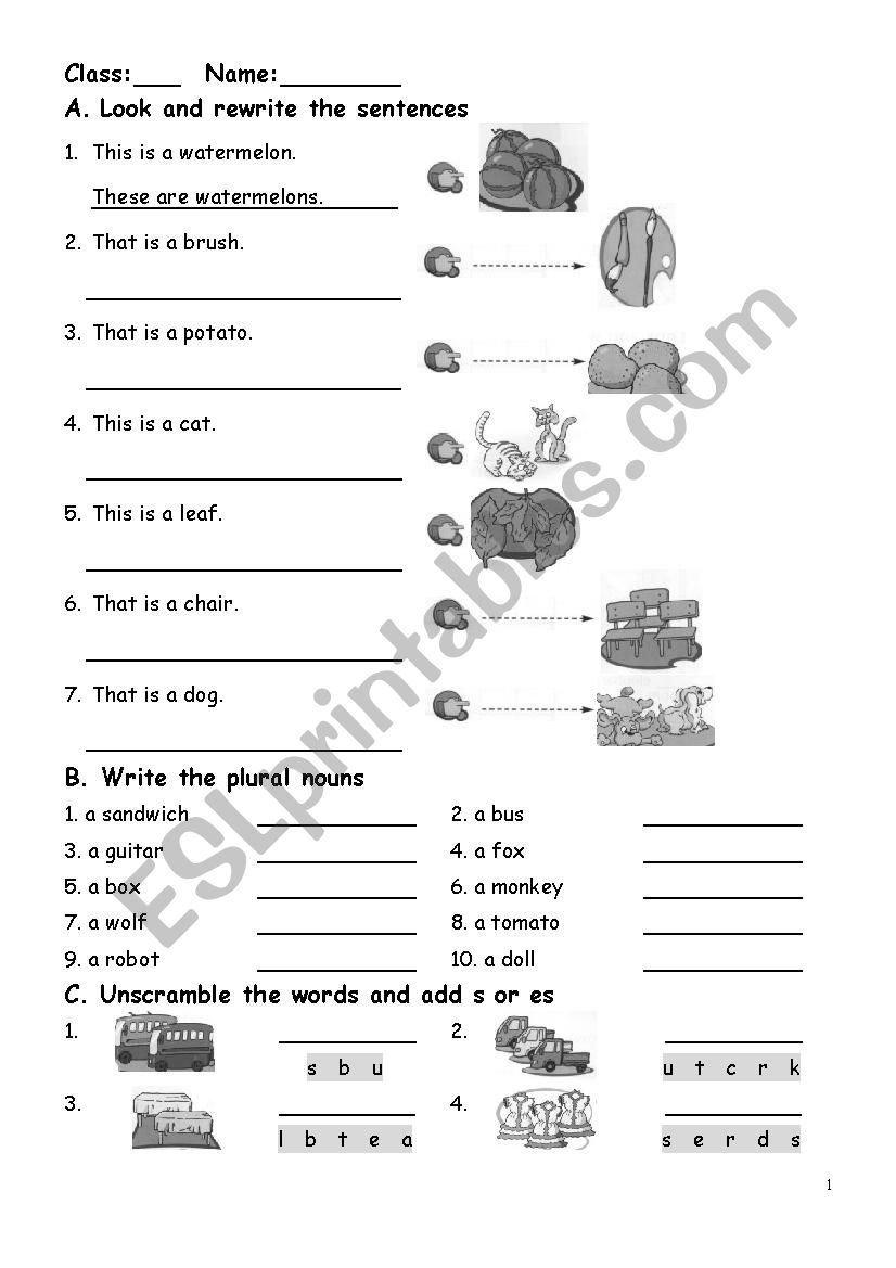 plurals and singulars worksheet