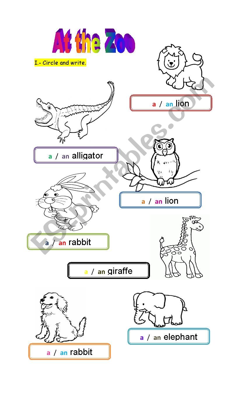 animals an / an worksheet