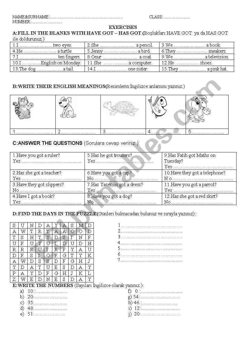 quiz worksheet