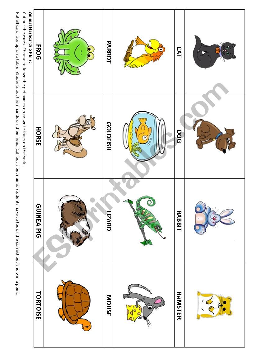 Animal ´Pets´ flashcards 5 & Game - ESL worksheet by scoobysue