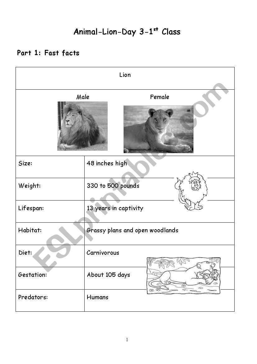 lion fast facts worksheet