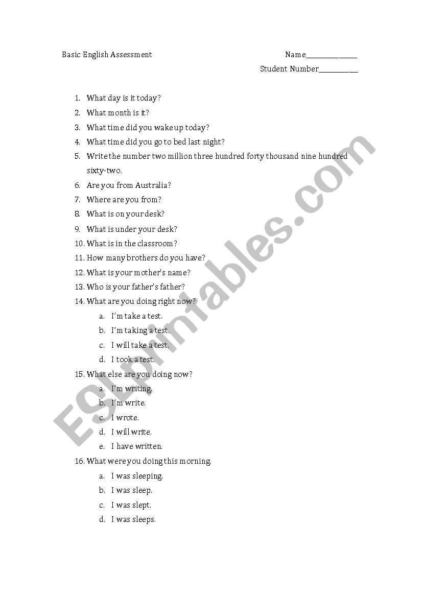 Basic English Assessment worksheet