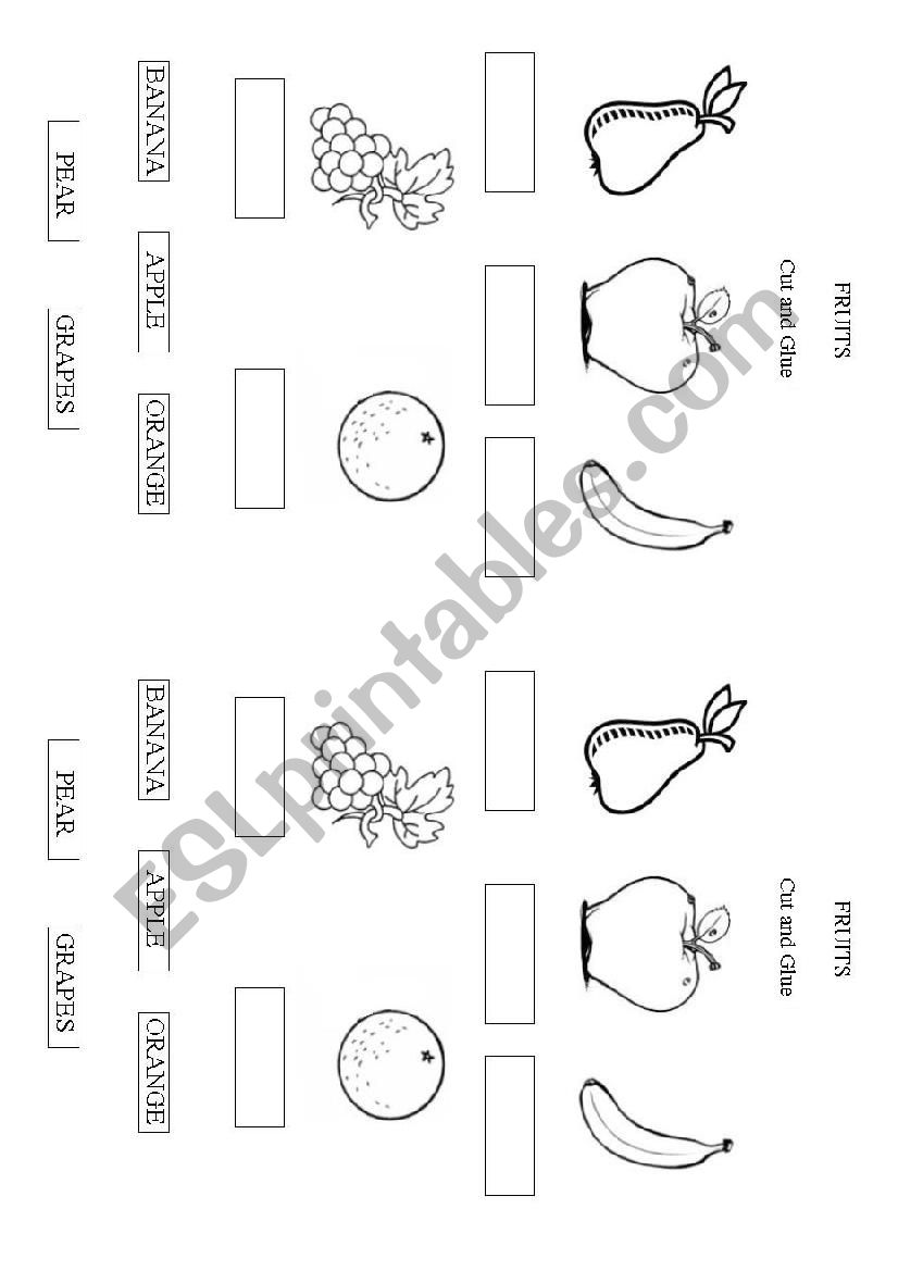 fruits worksheet