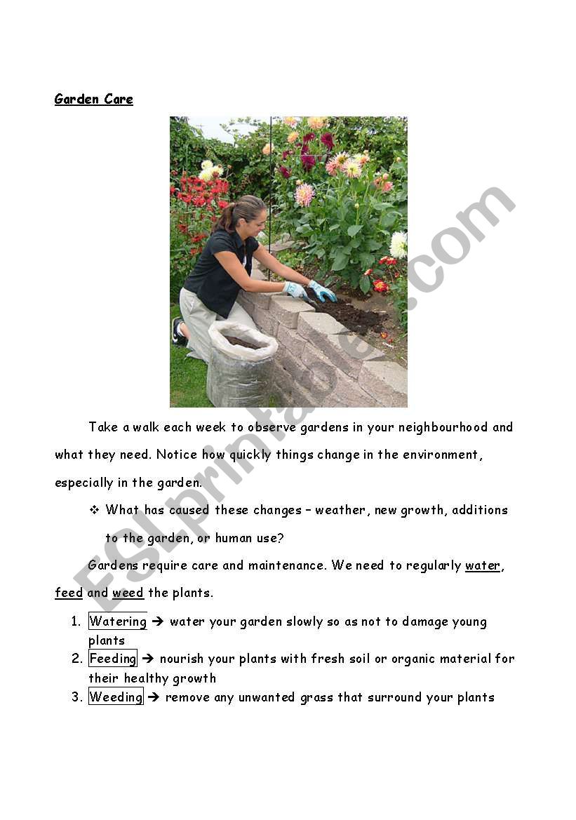 garden care worksheet