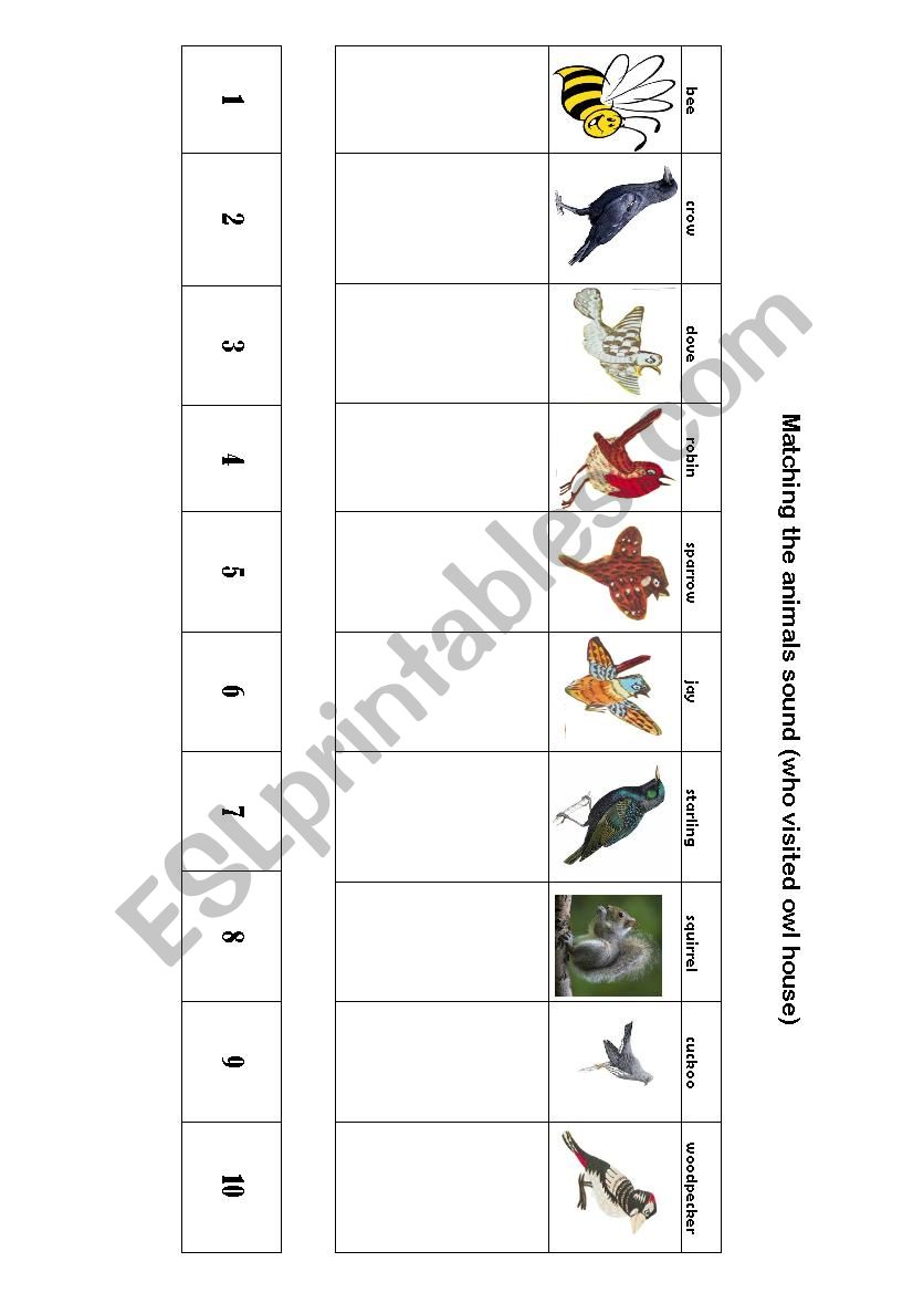 Goognight owl  worksheet