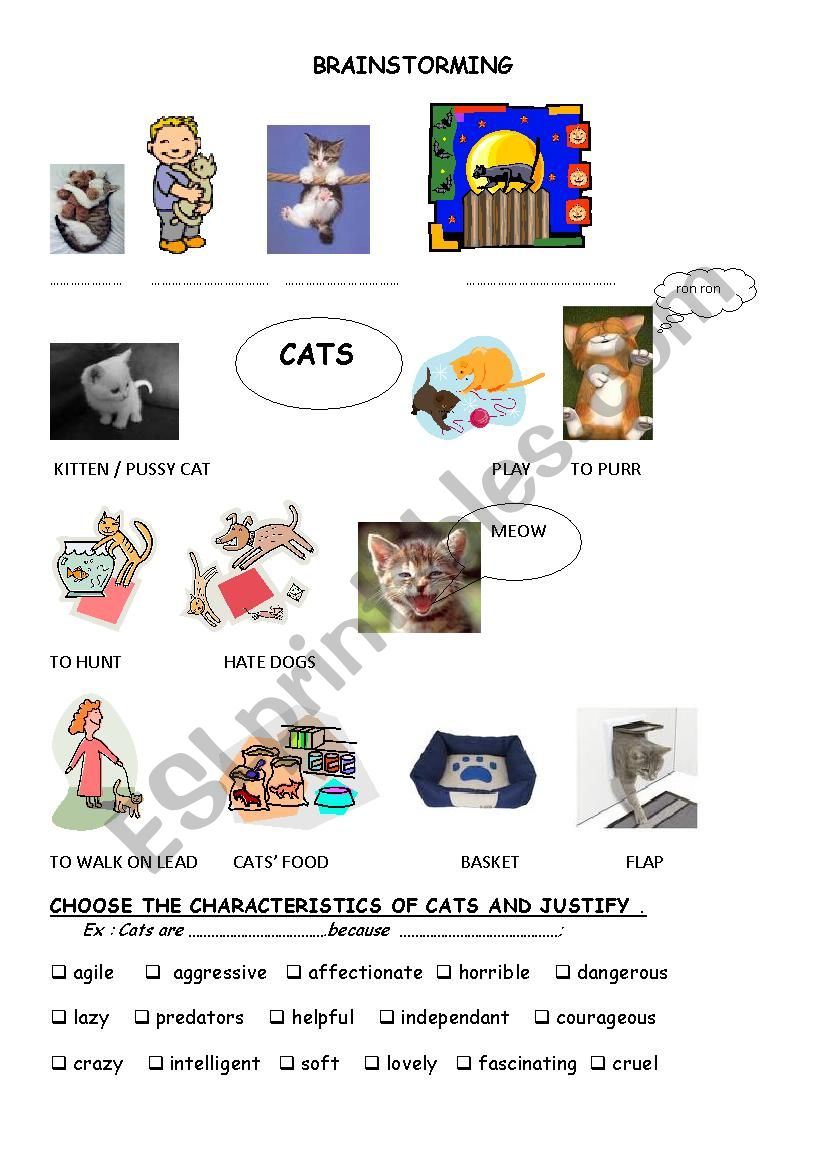 cats worksheet