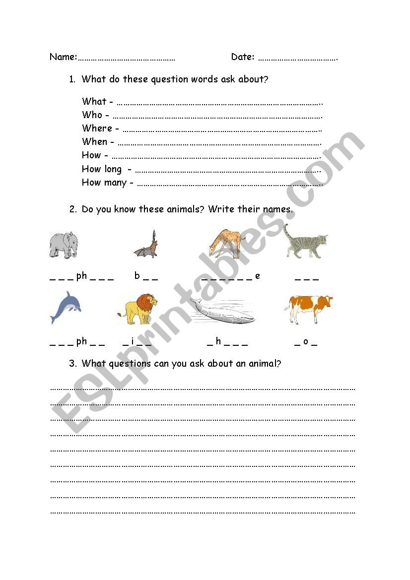 Does questions worksheet