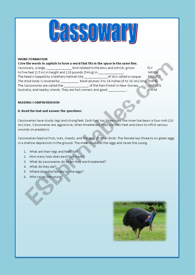 Cassowary - word formation and reading comprehension (key included)