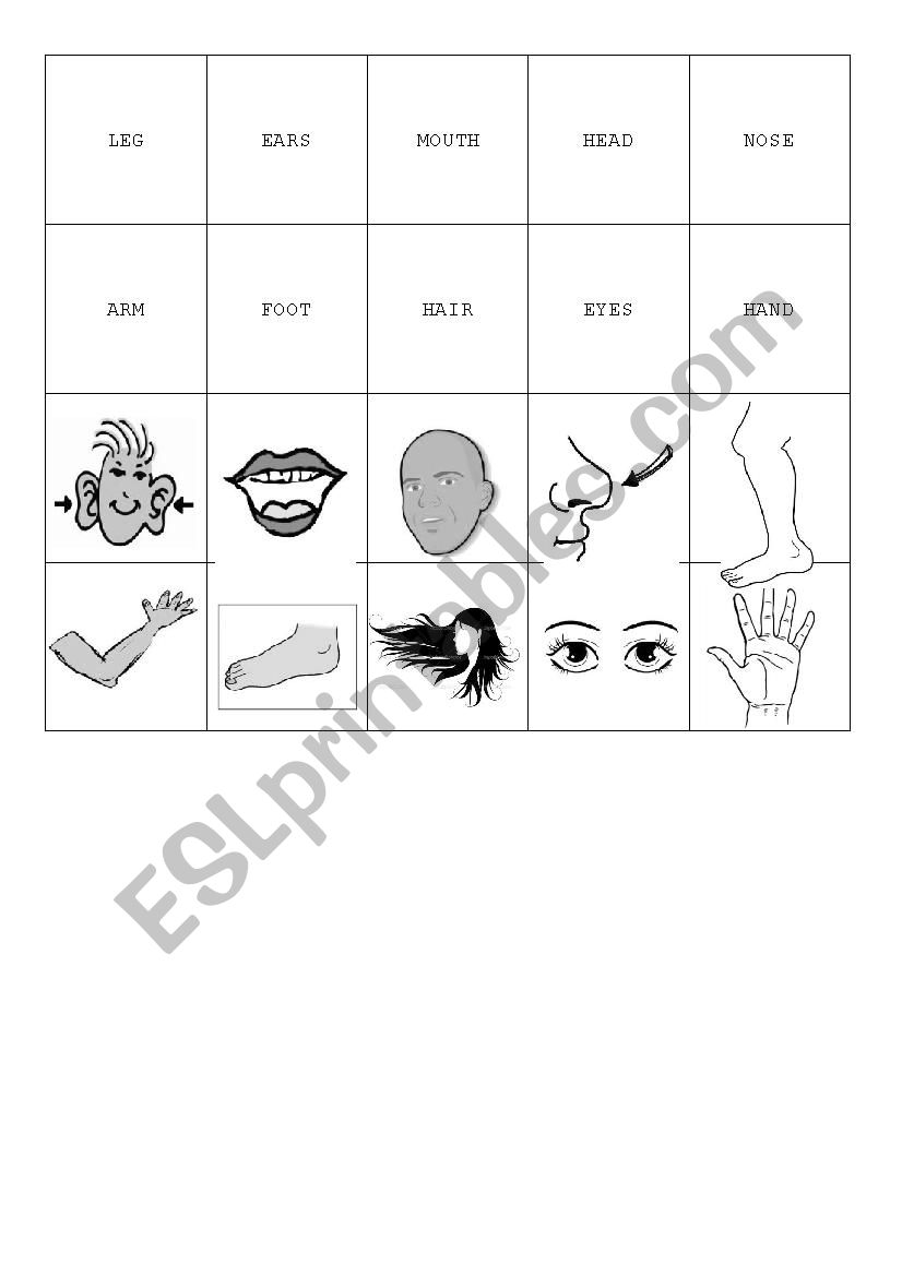 Body Parts Memory Game worksheet