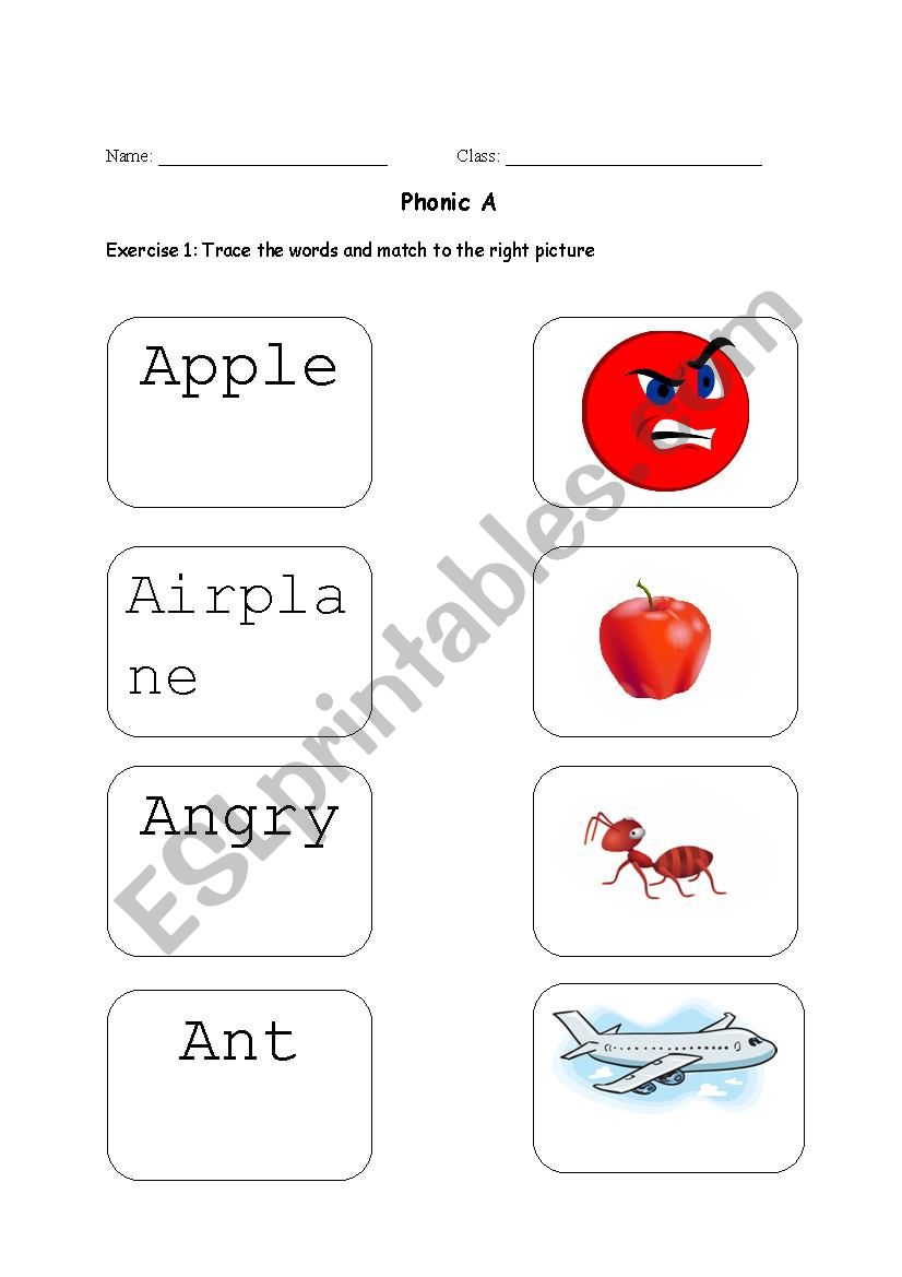 Phonic A  worksheet