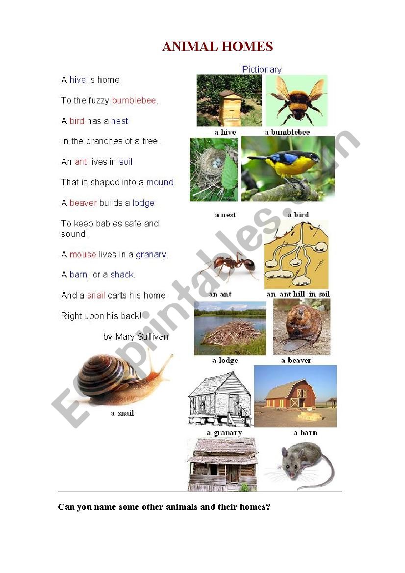 ANIMAL HOMES (a poem+ a pictionary for kids) - ESL worksheet by korova ...