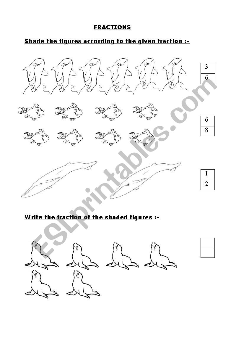 fraction worksheet worksheet