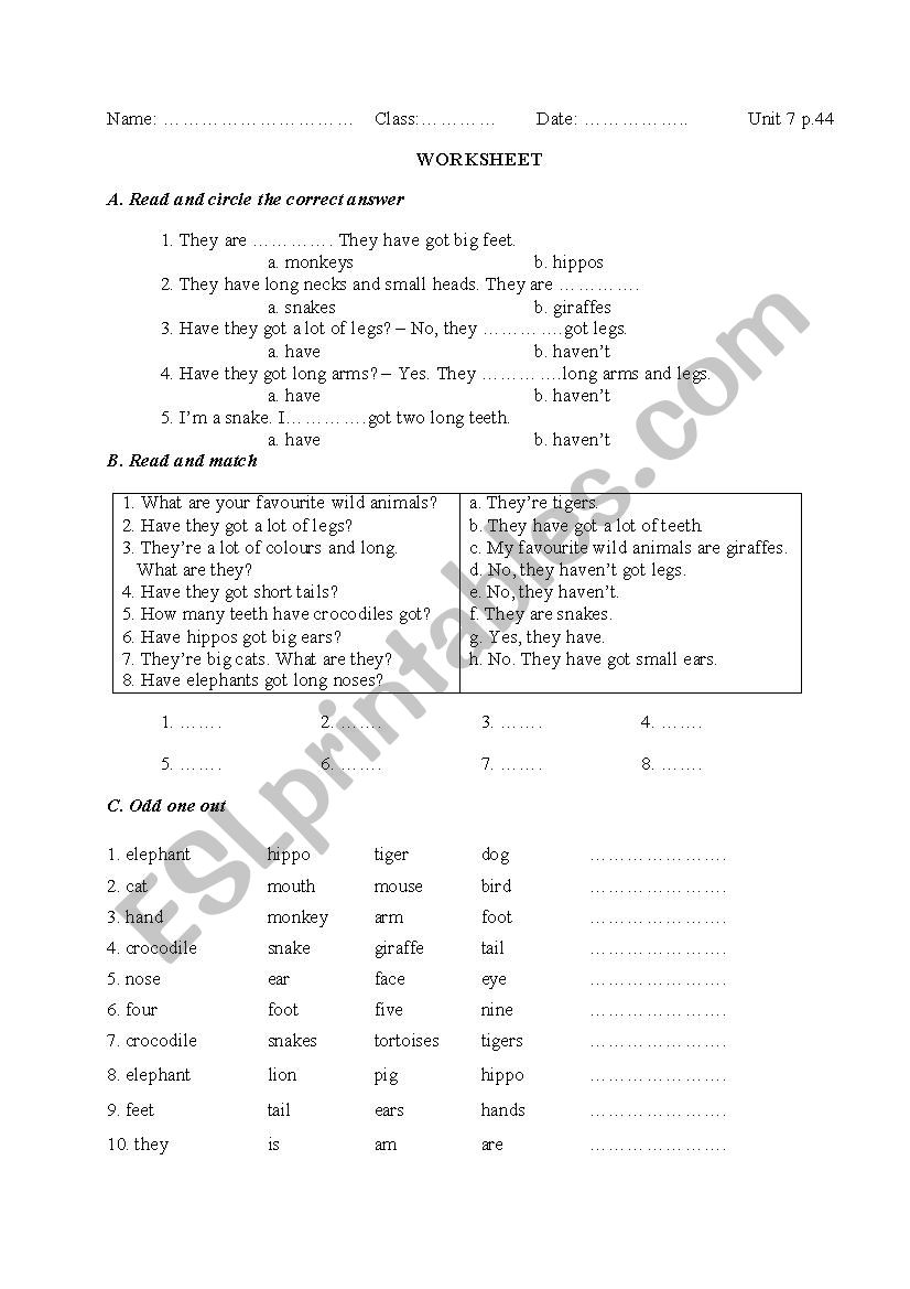 body worksheet