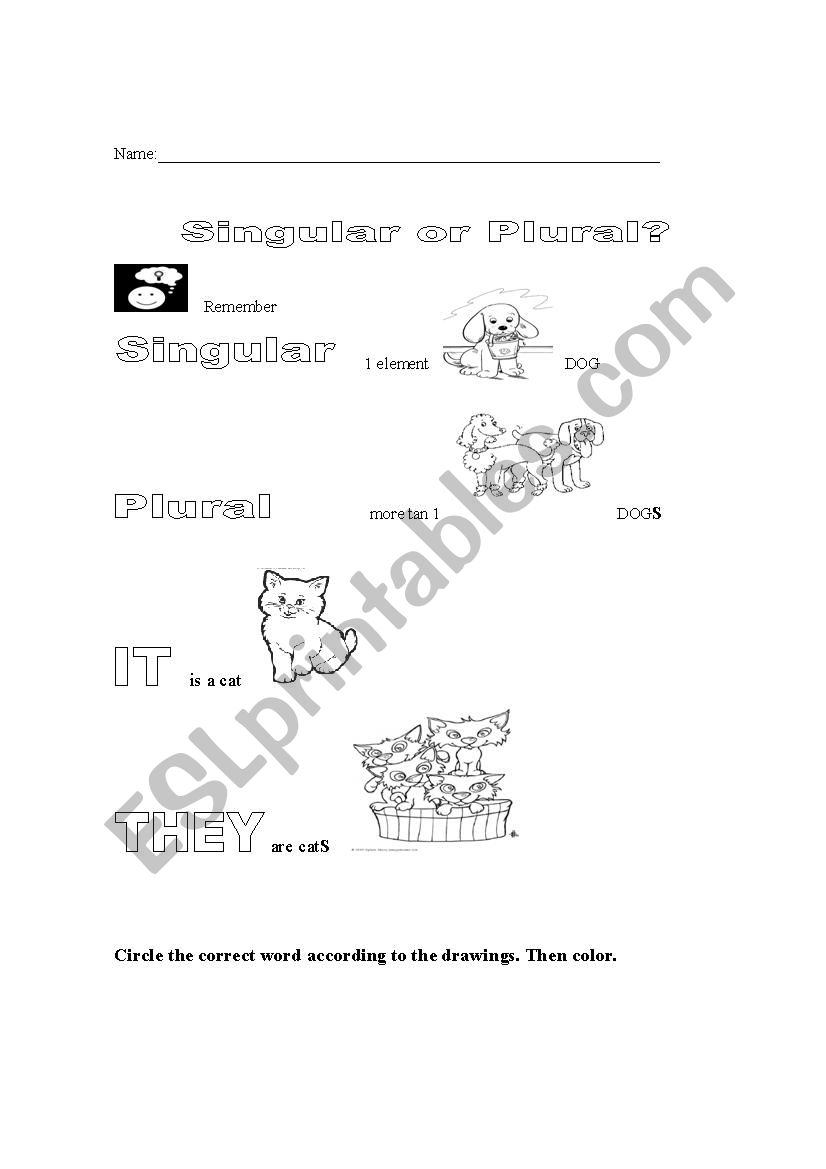 Singular or Plural? worksheet