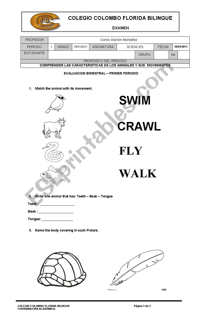 science worksheet  worksheet