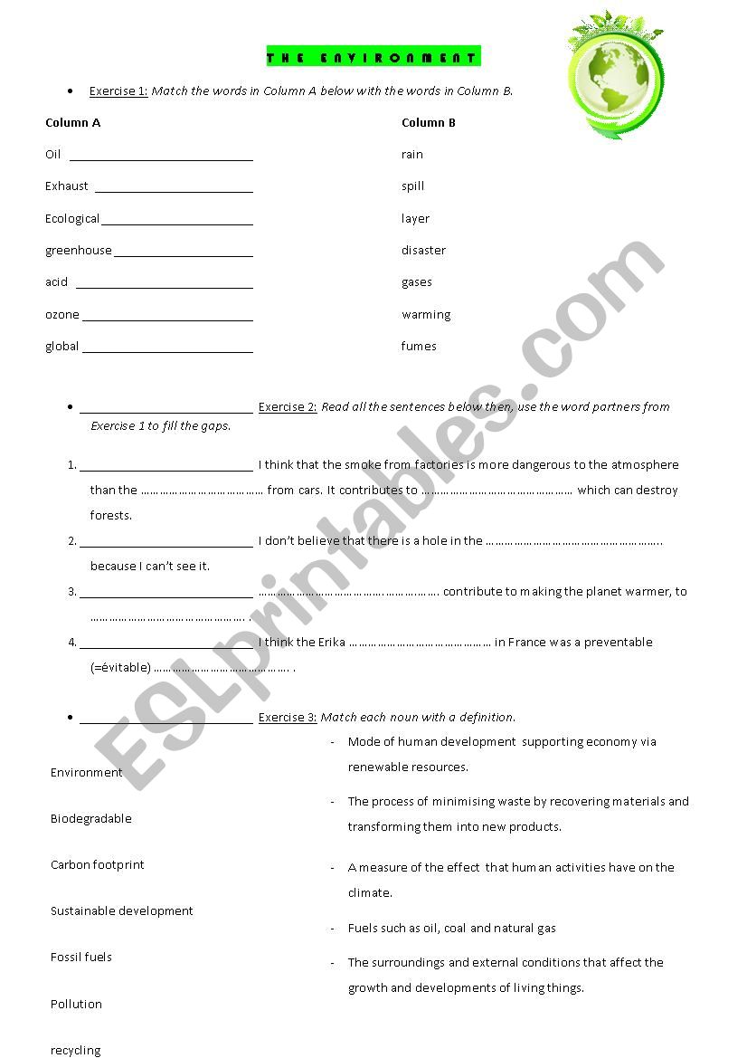 The environment worksheet