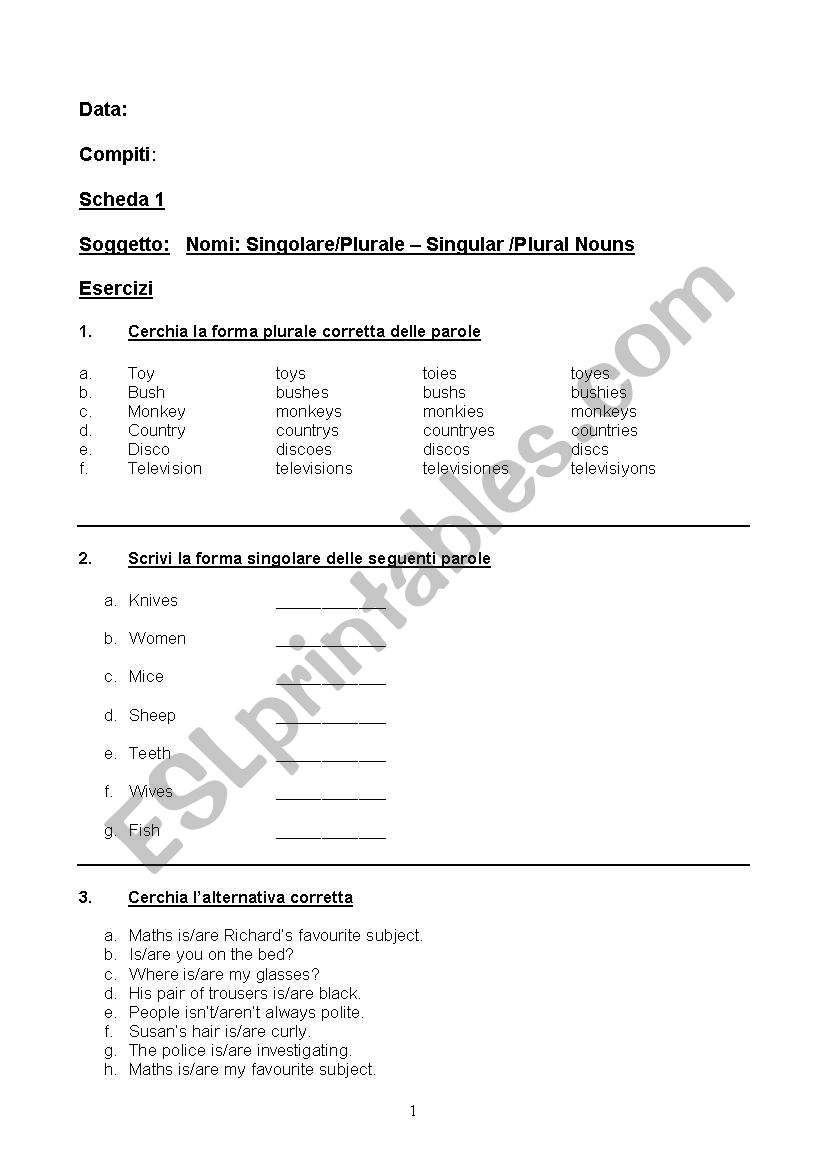 Singular and Plurals worksheet