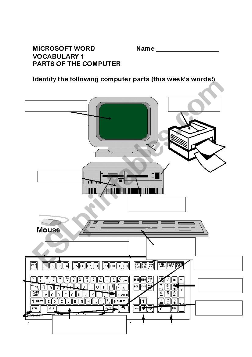 Computer Parts Labeling Worksheet Answers