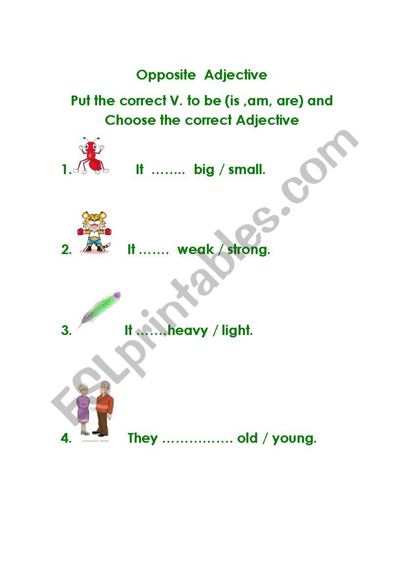 Opposite Adjective worksheet