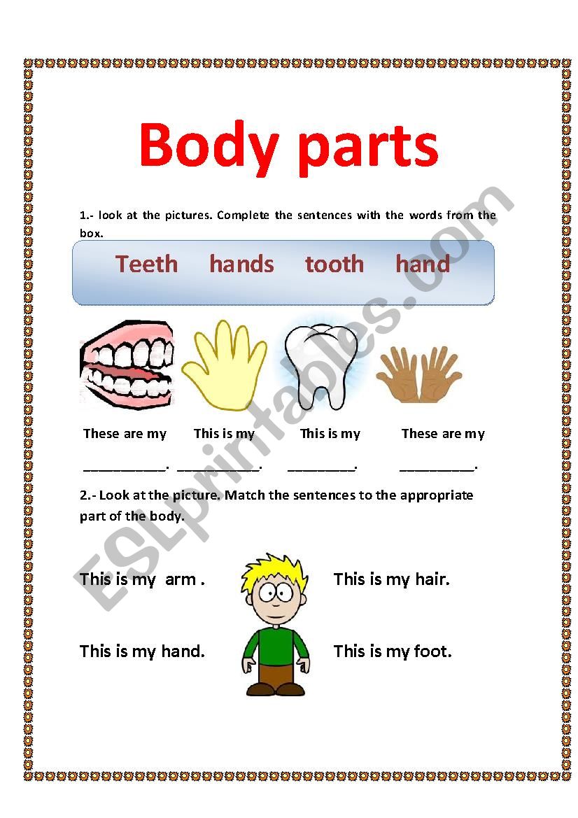 Body parts worksheet