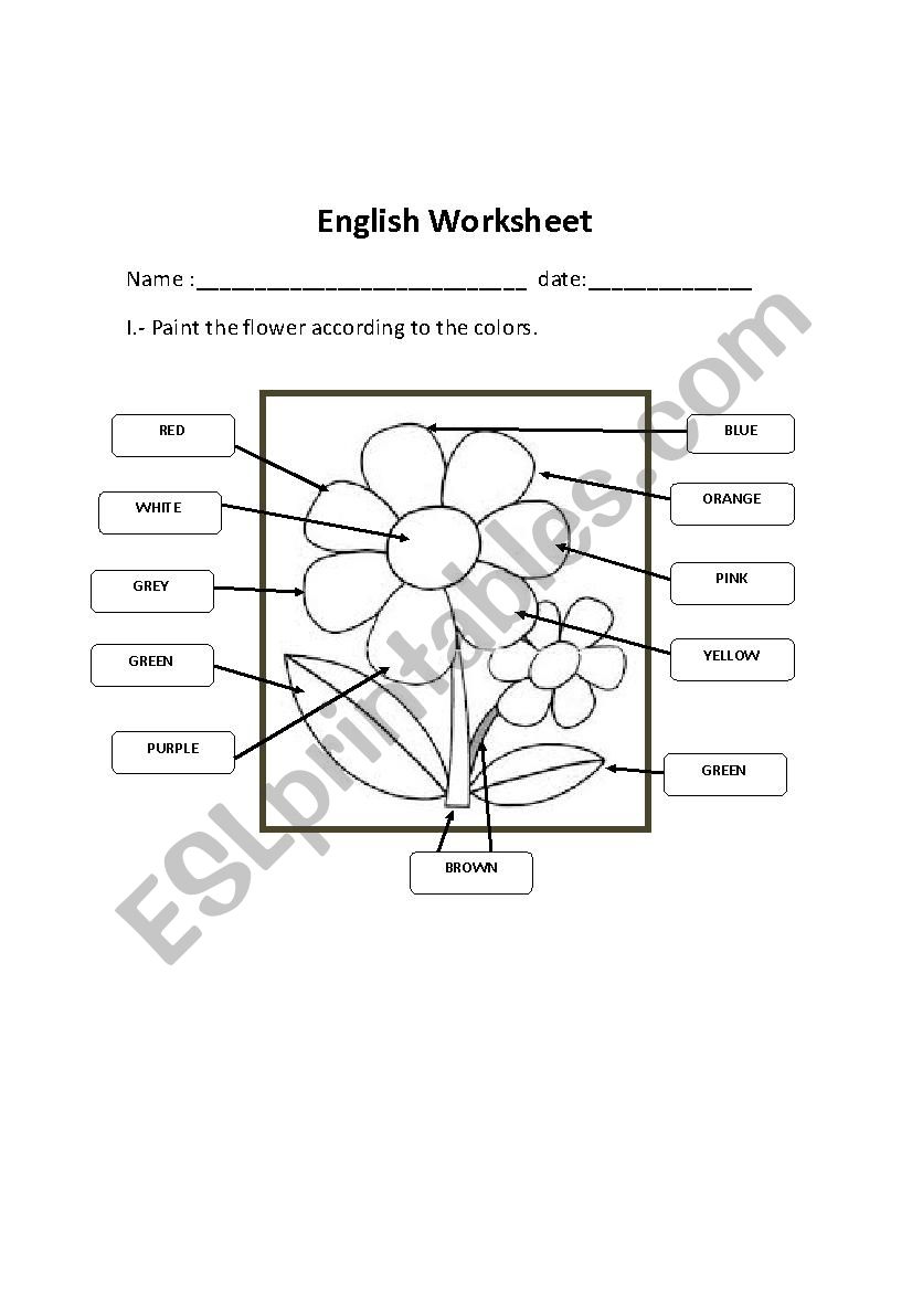 The colours - ESL worksheet by tiare