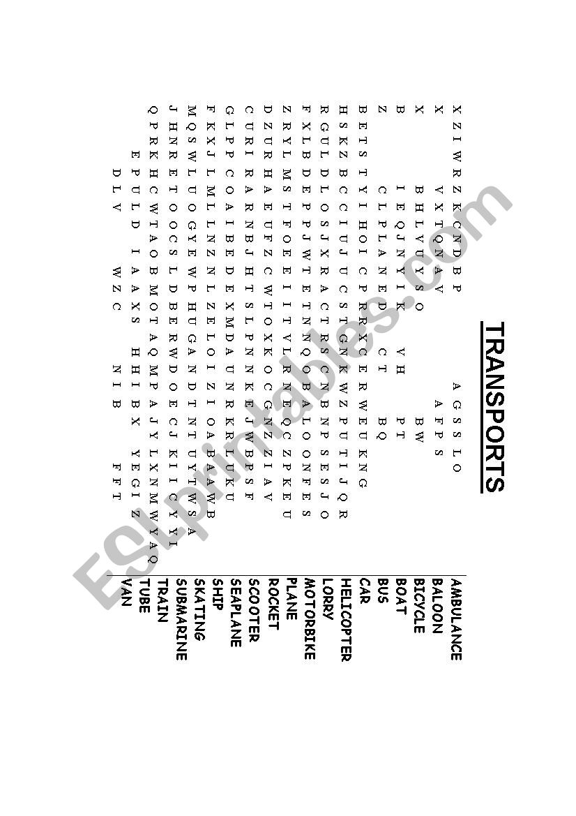 TRANSPORTS worksheet