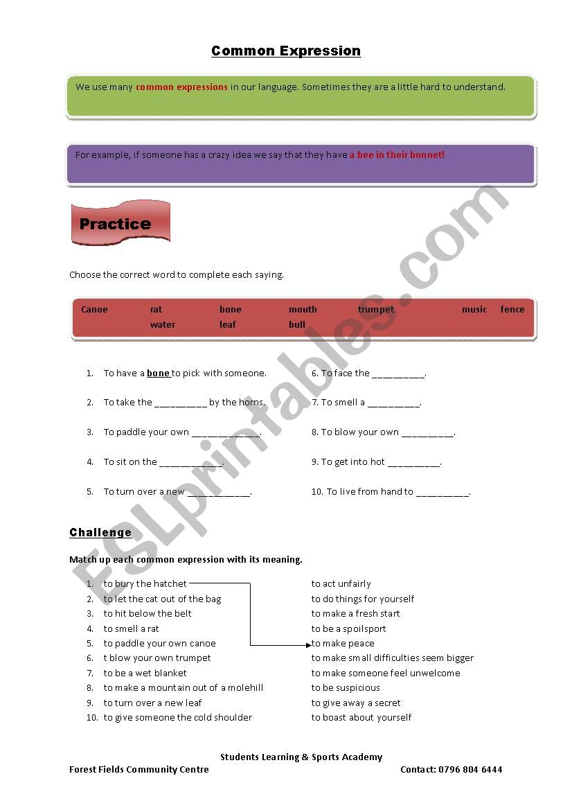 Common Expressions - ESL worksheet by zahid786